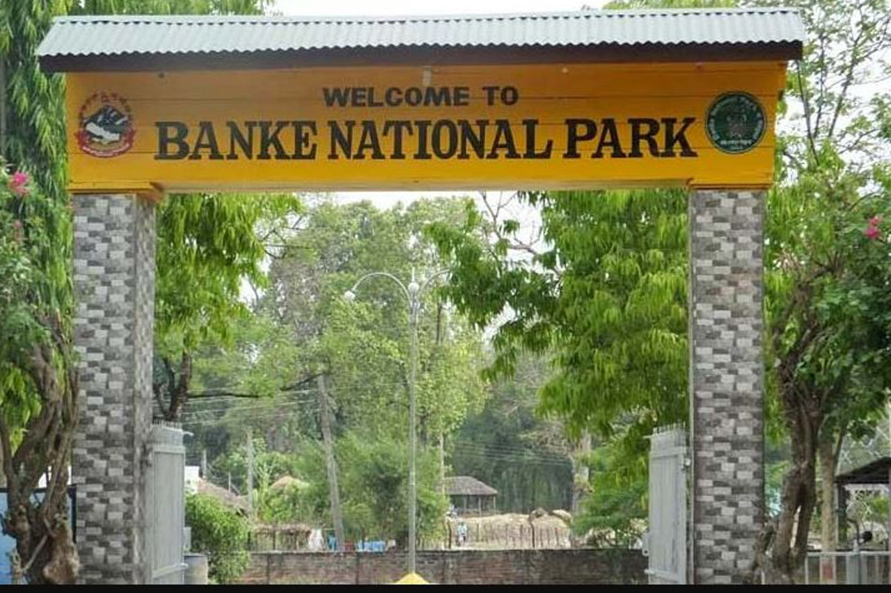 बाँके राष्ट्रिय निकुञ्जमा चार सयभन्दा बढी पर्यटकले अवलोकन